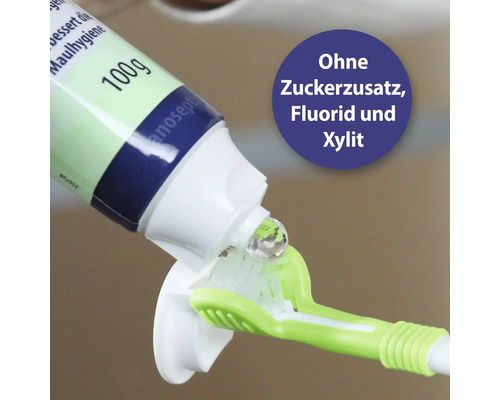 Une brosse à dents est remplie de dentifrice sans sucre, fluorure et xylitol.