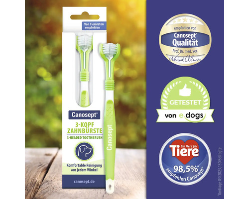 Brosse à dents à 3 têtes Canosept pour chiens