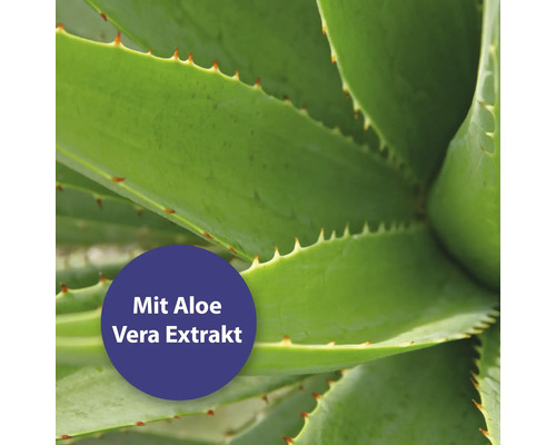 Plante d''aloe vera avec la mention Avec extrait d''aloe vera