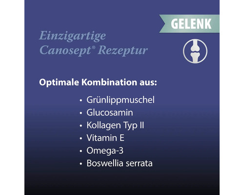 Recette Canosept avec moule à lèvres vertes, glucosamine, collagène de type II, vitamine E, oméga 3 et Boswellia serrata pour les articulations.