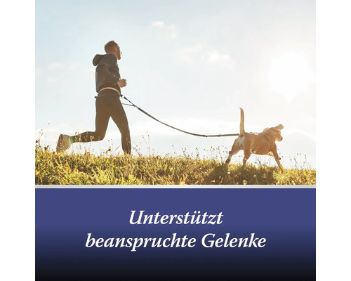 Homme faisant du jogging avec un chien en laisse à l''extérieur