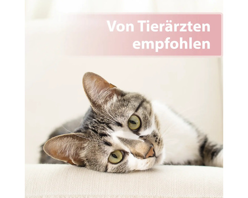 Eine ruhende Katze mit dem Text: Von Tierärzten empfohlen