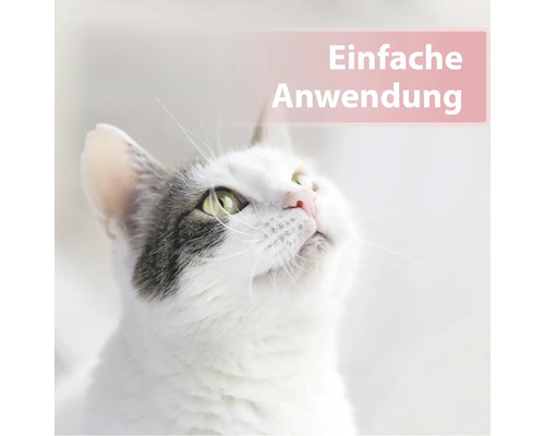 Nahaufnahme einer Katze mit dem Text ''Einfache Anwendung''