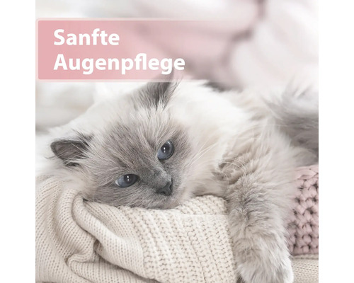 Eine Katze liegt auf einer Decke für die Augenpflege.