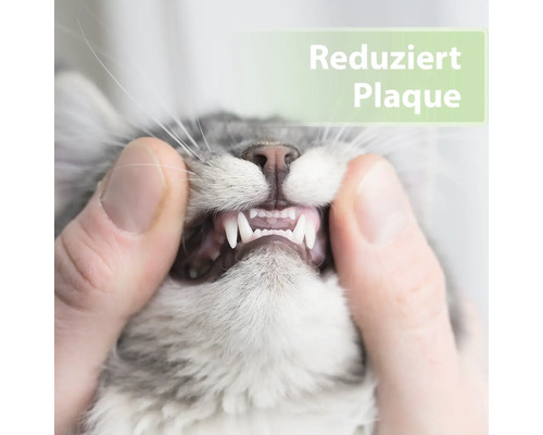 Katzenzähne werden mit den Fingern gespreizt, Text im Bild: Reduziert Plaque