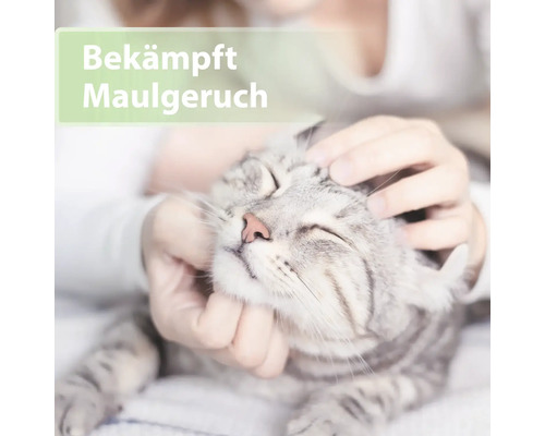 Katze wird am Kopf gestreichelt, Text: Bekämpft Maulgeruch