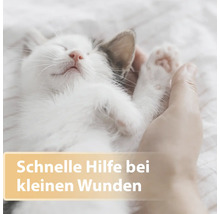 Chat tenu sur le ventre, texte : Aide rapide pour les petites plaies
