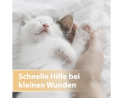 Chat tenu sur le ventre, texte : Aide rapide pour les petites plaies