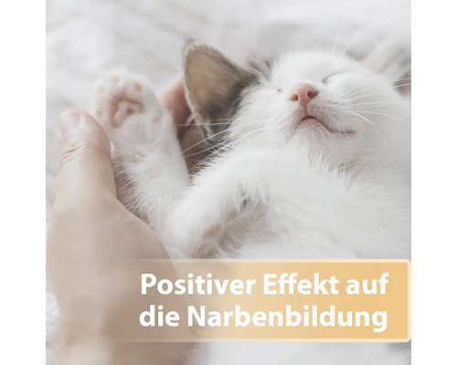 Eine Hand hält eine schlafende Katze. Die Formulierung lautet: Positiver Effekt auf die Narbenbildung.