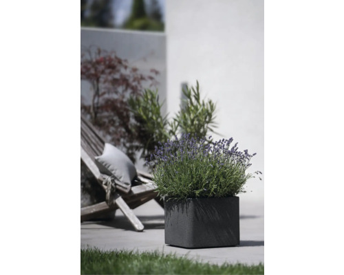 Quadratischer Pflanzkübel mit Lavendel im Außenbereich mit Gartenstuhl