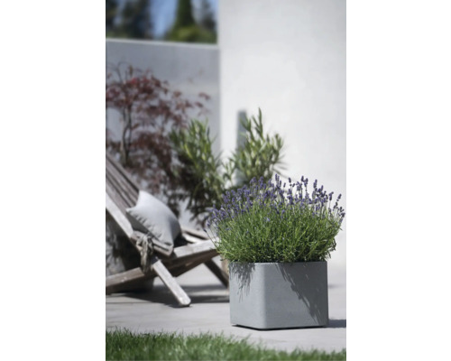Quadratischer Pflanzkübel mit Lavendel auf einer Terrasse
