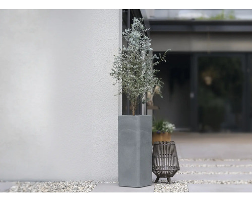 Haut bac à plantes avec arbre à côté d''un mur de maison