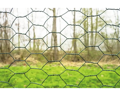 Gros plan sur un grillage hexagonal dans le jardin