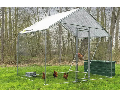 Poulailler avec abri, échelle et plusieurs poulets à l''extérieur.