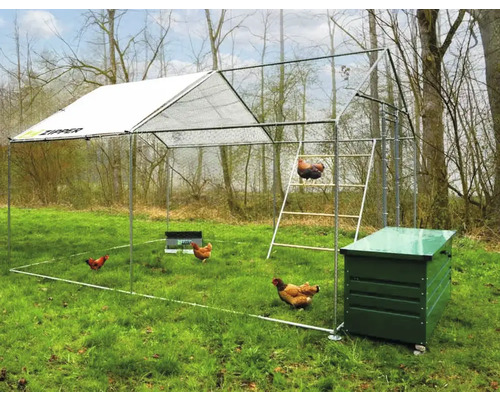 Enclos extérieur avec poules, échelle et poulailler dans le jardin