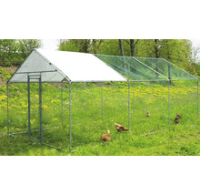 Parc en liberté avec poules dans un pré
