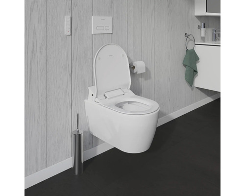 Szene eines Badezimmers mit einem wandhängenden Dusch-WC, einer Fernbedienung, einer Betätigungsplatte, einem Toilettenpapierhalter, einer WC-Bürste und einem Waschbecken