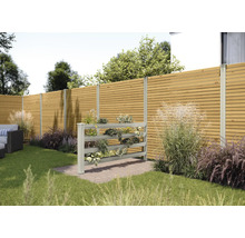 Scène de jardin avec clôture en bois et étagère à plantes