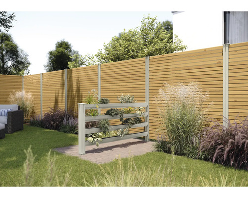 Scène de jardin avec clôture en bois et étagère à plantes