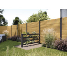 Scène de jardin avec clôture en bois et mur végétal