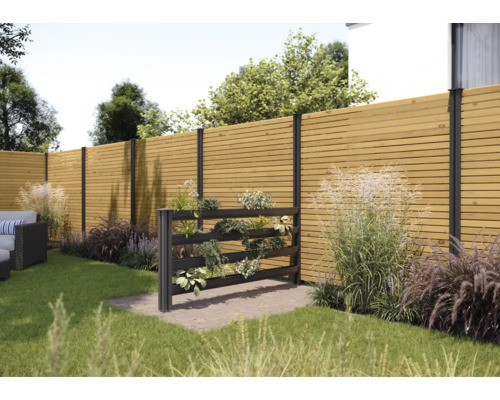 Scène de jardin avec clôture en bois et mur végétal