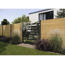 Scène de jardin avec clôture en bois et jardin vertical planté