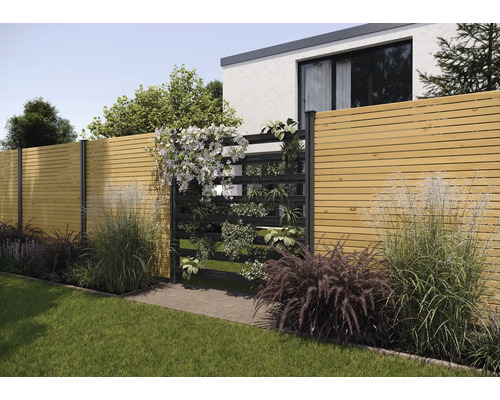 Scène de jardin avec clôture en bois et jardin vertical planté