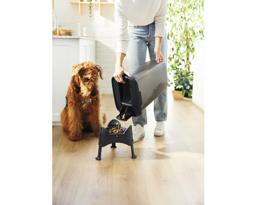 Une personne remplit un distributeur automatique de nourriture sèche pour chiens, un chien est assis à côté