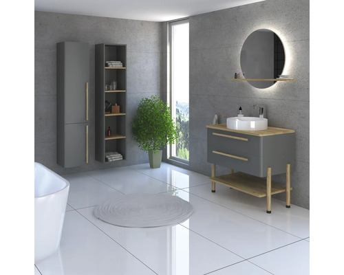Salle de bain moderne avec meuble-lavabo, armoire de toilette, armoire haute et plante