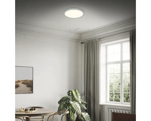 Decke mit runder Deckenleuchte in einem Raum mit Fenster und Möbeln.