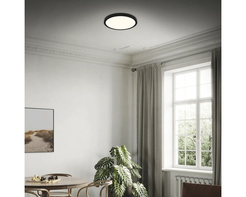 Deckenleuchte im Wohnzimmer mit Esstisch, Zimmerpflanze und Fenster