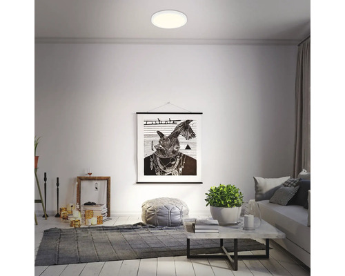 Wohnzimmer mit Deckenleuchte, Teppich und Dekoration