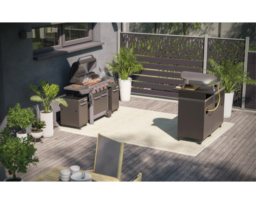 Aussenbereich mit Grill, Pizzaofen, Pflanzen und Sichtschutz