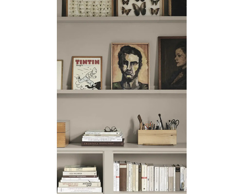 Laque Alpina Feine Farben Toits de Paris taupe romantique 750 ml Étagère avec des livres, des images et des articles de bureau pour un bureau organisé
