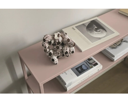 Laque Alpina Feine Farben Mélodie de grâce violet rosé sobre 750 ml Arrangement décoratif de balanes sur une étagère avec des livres.