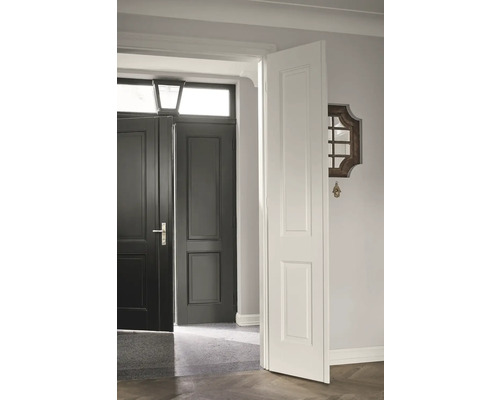 Design d''intérieur avec porte, porte intérieure et miroir