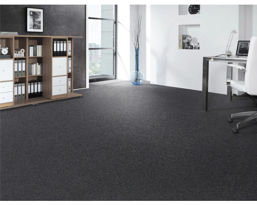 Büro mit grauer Auslegware, Schreibtisch und Regal