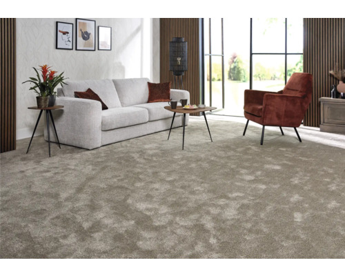 Salon avec tapis, canapé, fauteuil et tables d''appoint