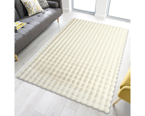 Tapis à poils longs dans le salon avec canapé