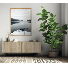 Wohnzimmer mit Holzschrank, gerahmtem Landschaftsbild und Zimmerpflanze im Topf.