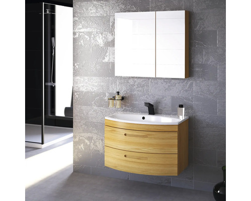 Badezimmer Szene mit Waschtischunterschrank, Waschbecken, Spiegelschrank und Dusche