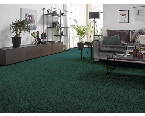 Wohnzimmer mit dunkelgrünem Teppichboden, Sofa und Regalen