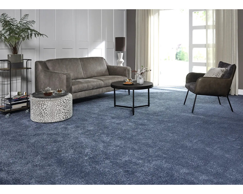 Salon avec canapé, fauteuil, table basse et tapis bleu