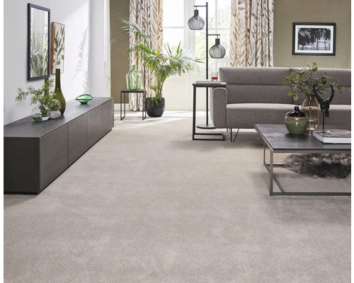 Salon avec moquette claire, canapé, table et plantes