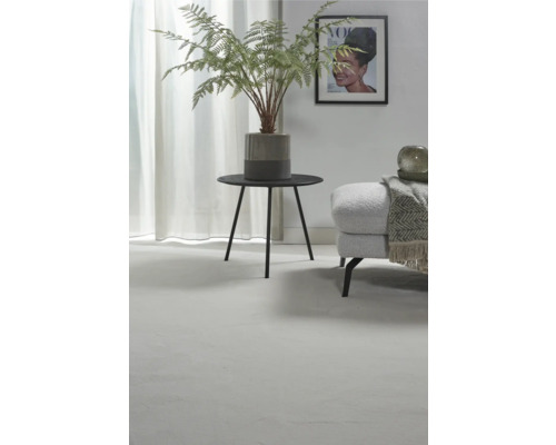 Salon décoratif avec table d''appoint, plante d''intérieur et siège