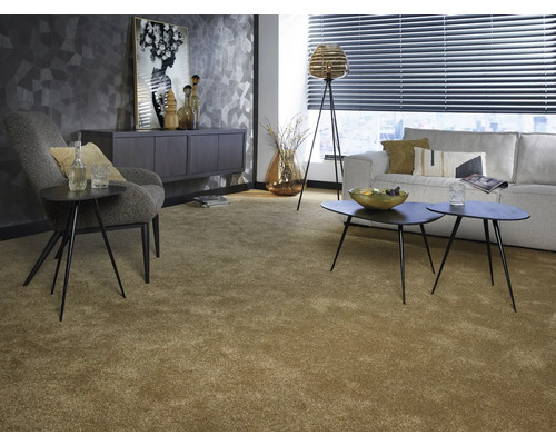 Salon avec moquette, canapé, fauteuil et tables basses.
