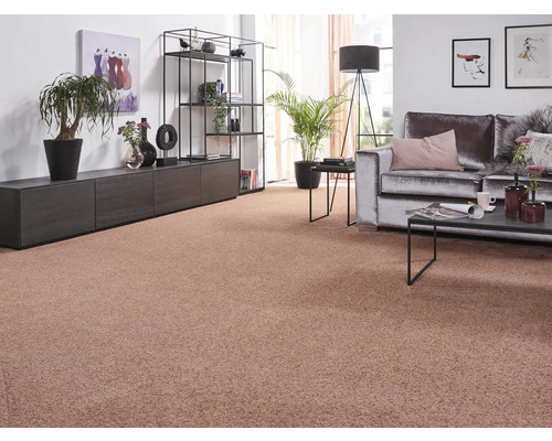 Salon avec moquette, canapé, étagères et décoration