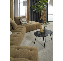 Salon avec canapé modulable, tables basses et plante d''intérieur pour une atmosphère lumineuse et organisée.