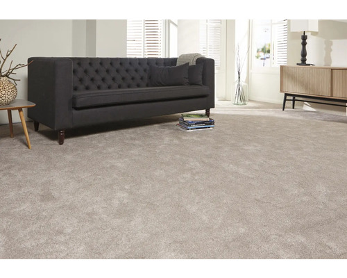 Salon avec canapé gris et tapis