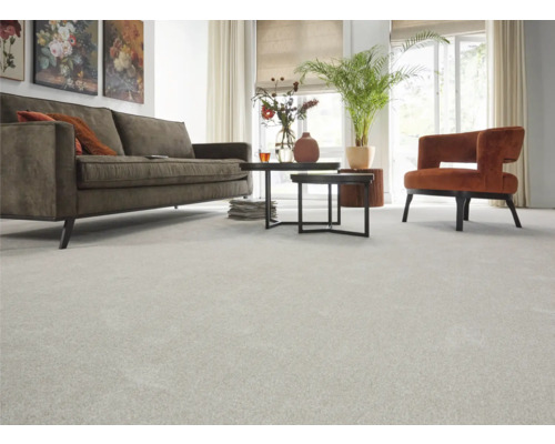 Salon avec moquette gris clair, canapé marron, fauteuil, table et plantes